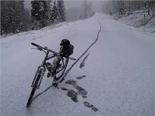 small_000422 aspenIMG_3967.webp